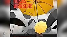 Rosas Wünsche