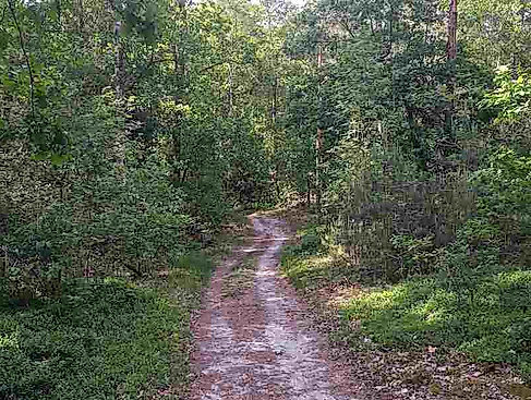 Von der „Römerschanze“ zur Ottenburg