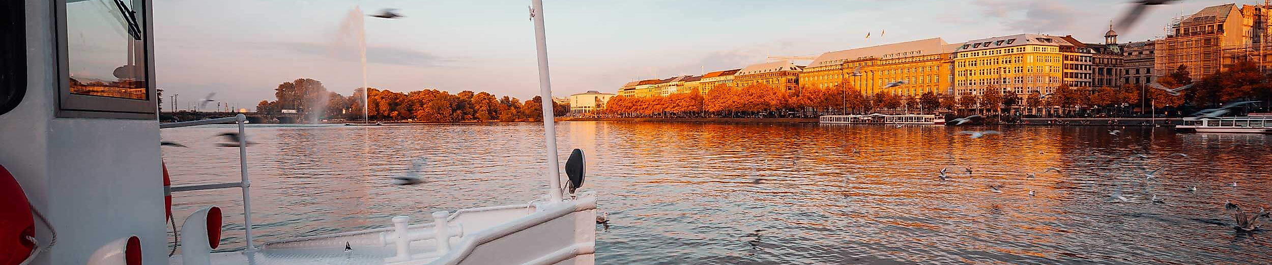 Boot auf der Alster bei Sonnenuntergang mit Möwen und herbstlich beleuchtetem Ufer in Hamburg