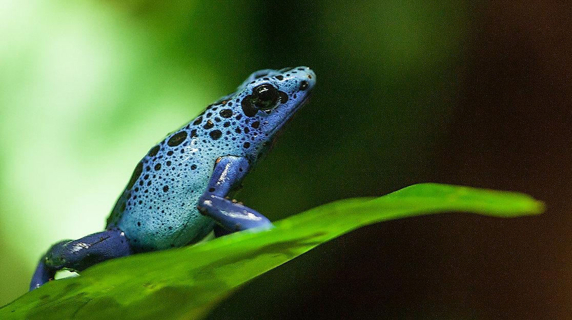 Tropen-Aquarium Hagenbeck