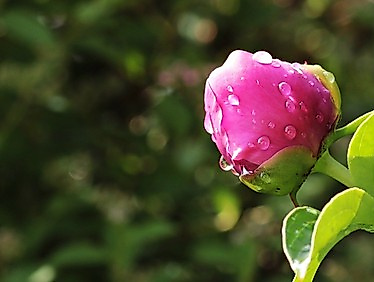 Pfingstmontag in Maria Grün