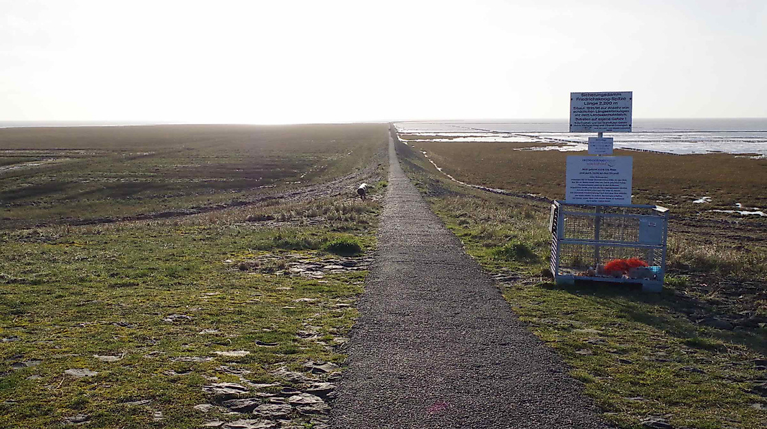 Auf dem Trischendamm durch das Weltnaturerbe Wattenmeer