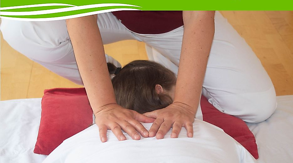 shiatsu-mit-pub-logo