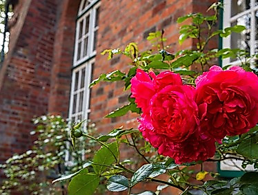 Gottesdienst mit dem Rensefelder Posaunenchor