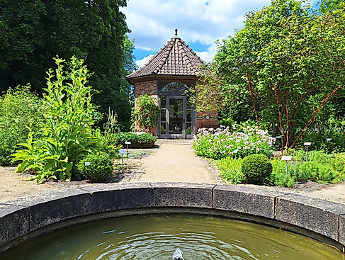 Kräuterseife selbst herstellen