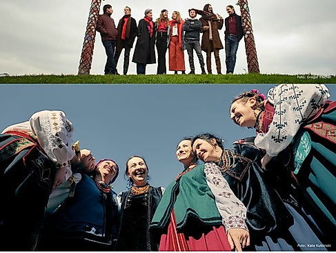 WelCombo und Rodovid