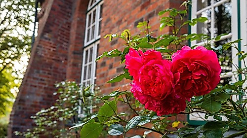 Gottesdienst mit dem Rensefelder Posaunenchor