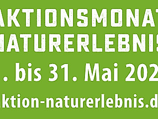 Wildkräuter: Die erste Ernte