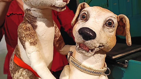 Mau & Wiau - Zwei wie Hund und Katz