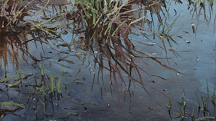 Stille Wasser