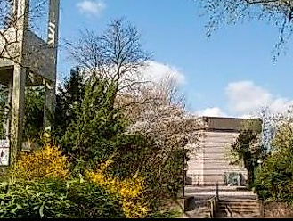 Kirchturm mit grünen Sträucher und im Hindergrund Kirchengebäude