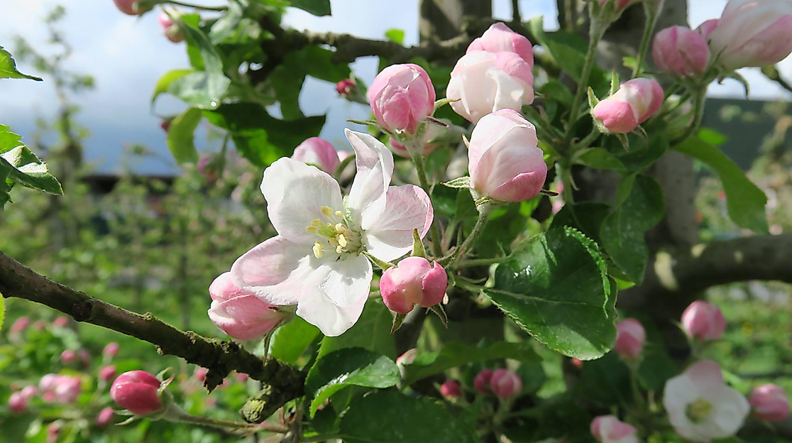 Öffentliche Freitags-Führung