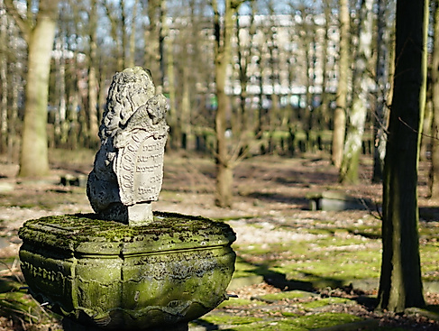 Jüdischer Friedhof an der Königstraße (2025)