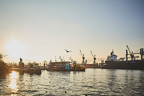 Sonnenaufgang im Hamburger Hafen mit Möwen, Schiffen und silhouettierten Kränen über glitzerndem Wasser