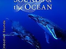 Sounds of the Ocean
