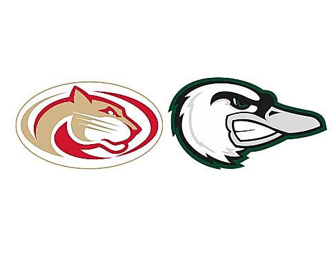 Hollenbach Gameday: Lübeck Cougars - Hamburg Swans