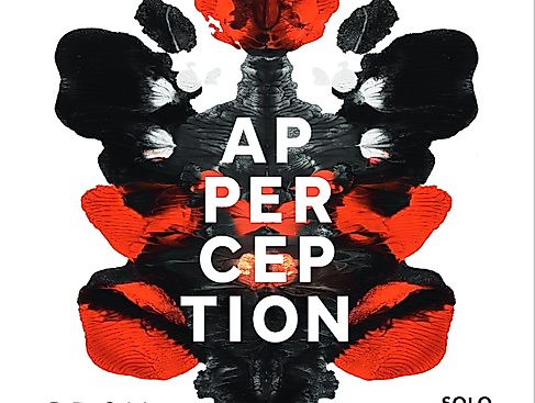 CDSH Solo Project: Apperception // Programm C