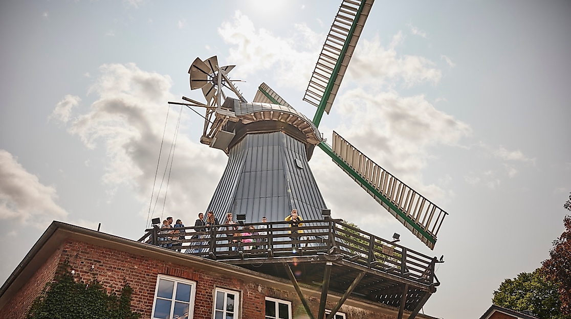 Schöne Aussicht: Das Mühlenfest bietet einen Rundumblick auf die Traditionsbäckerei Braaker Mühle