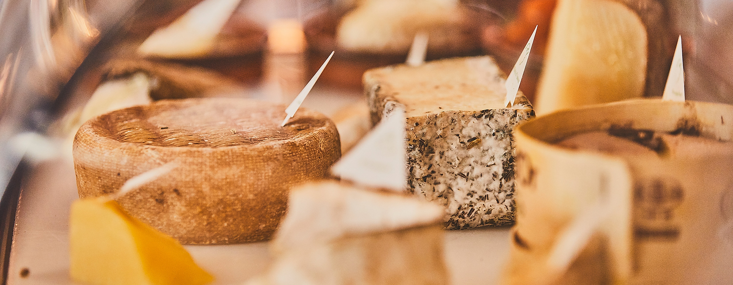 petit-bonheur_c-2018-thisisjulia-photography-7