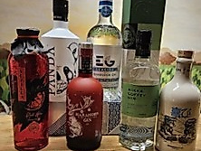 Gintasting