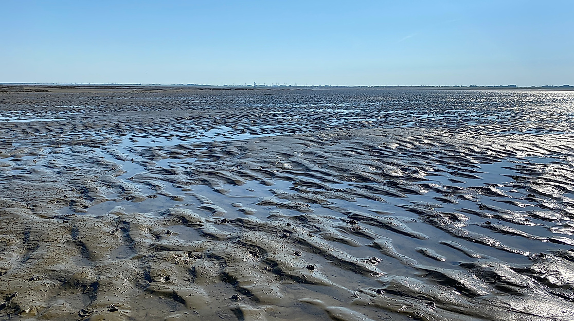 Online (VHS Langenhagen): UNESCO-Weltnaturerbe Wattenmeer - Eine Geschichte für sich