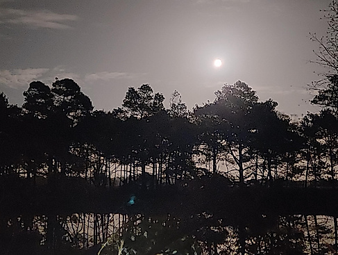 Vollmondwanderung am Rande des Heidschnuckenweges