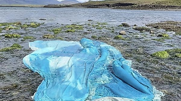 25-12-07 GRUPPE_Chili_Seitz__ScaleWidthWzYwMF0 Chili Seitz