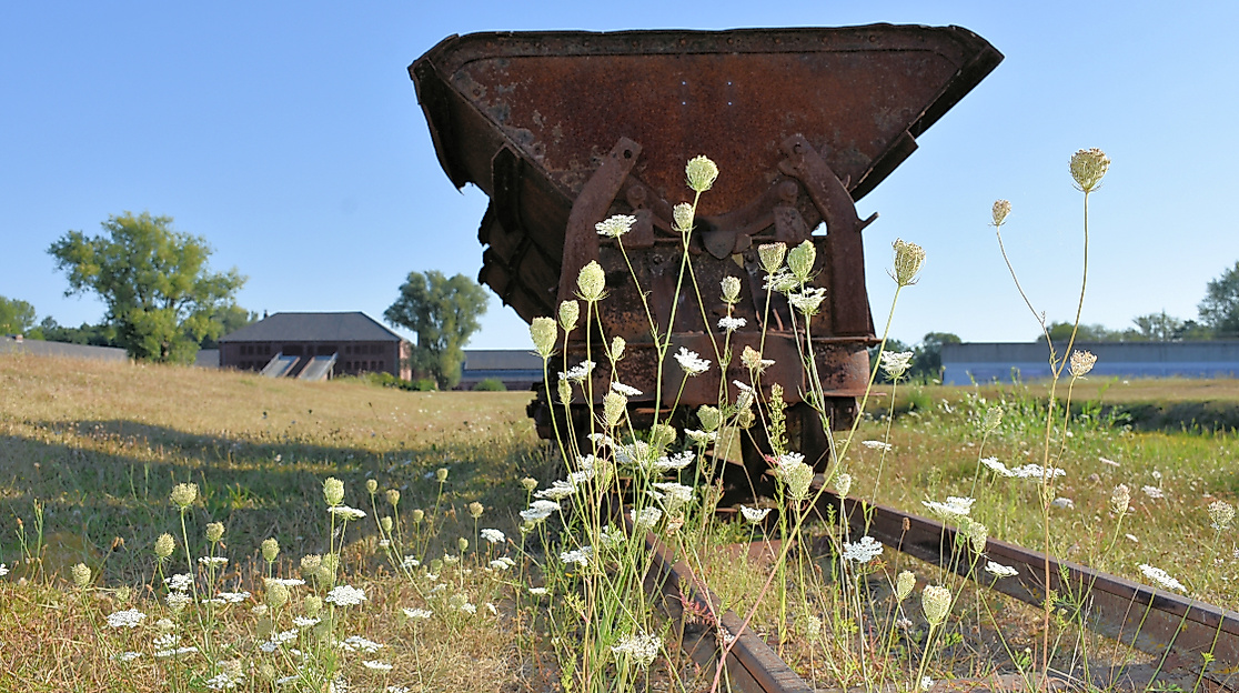 Die Saat wächst trotzdem.