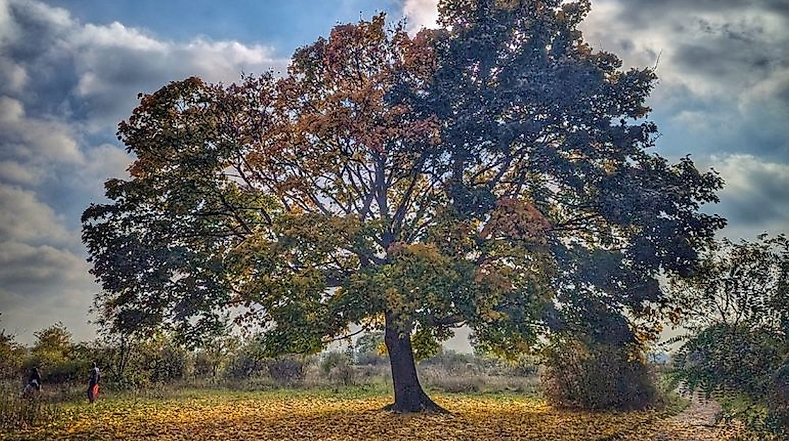 Konfirmations-Gottesdienst von St. Marien mit Pastor Robert Pfeifer