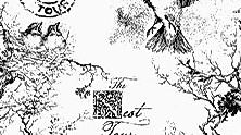 Montell Fish - The Nest Tour