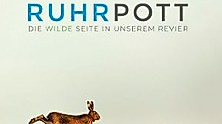 Ruhrpott
