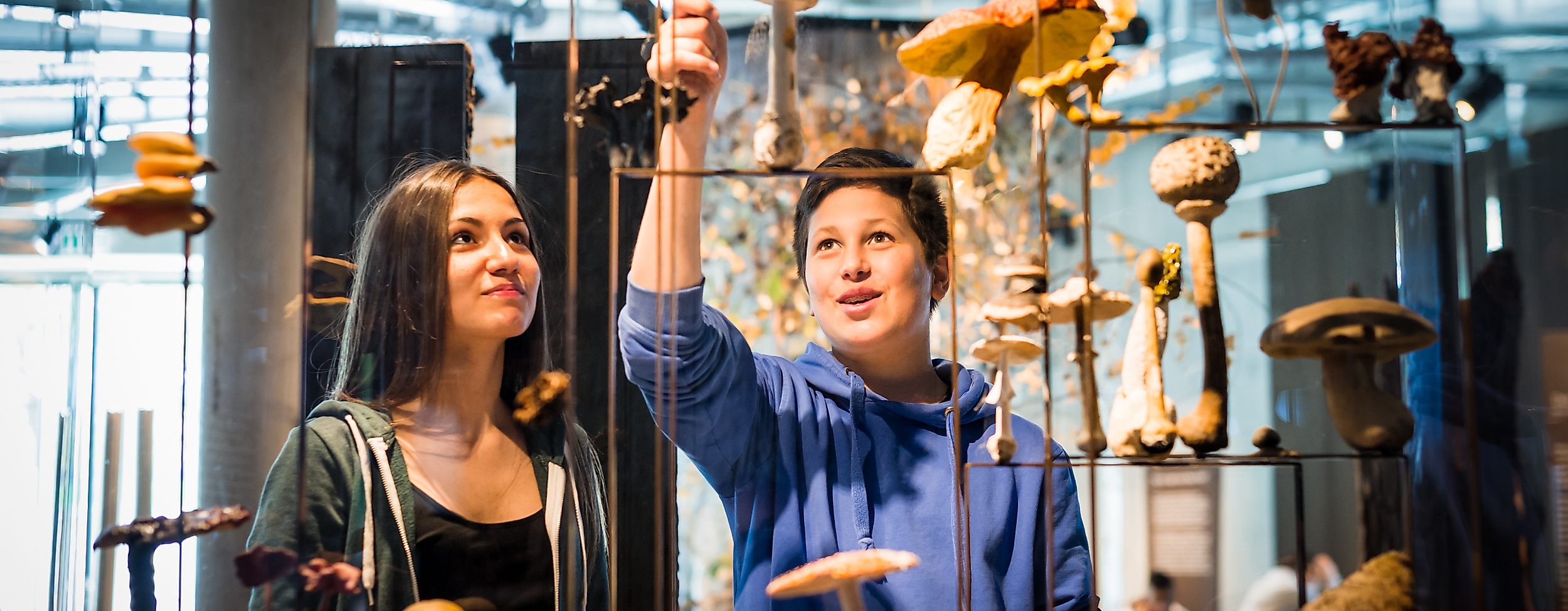 Science Center im Wälderhaus