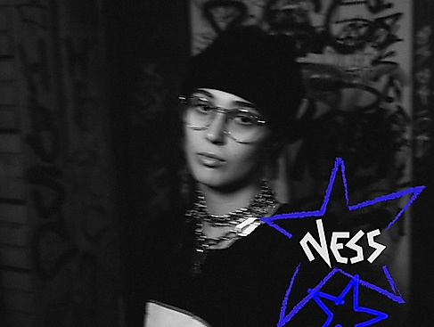NESS