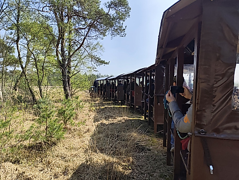 Frühlingsfest beim Moorbahncafé und der Moorbahn Burgsittensen