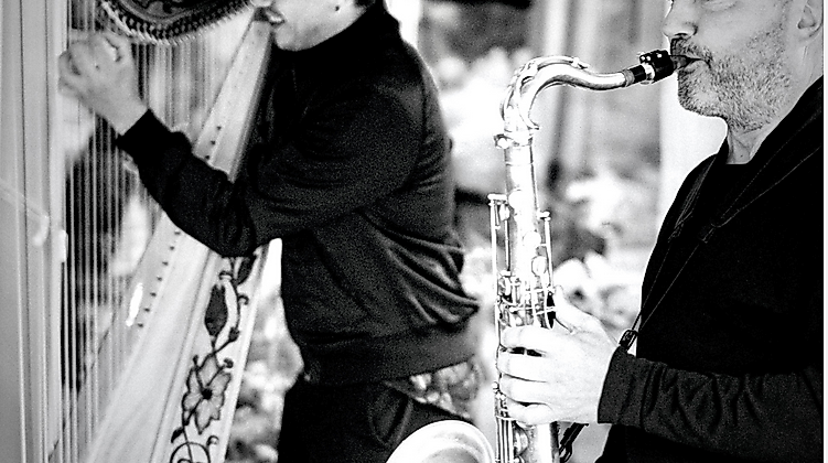 meldorfer kulturbonsche: Saxyarpa