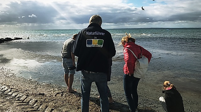Bernsteinführung am Strand