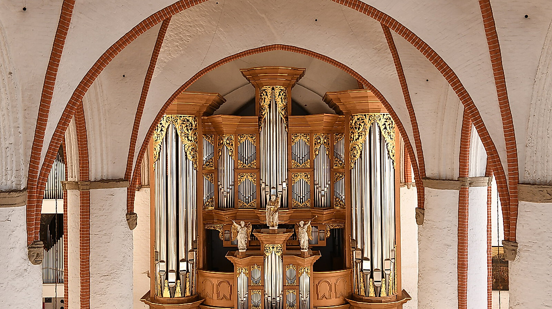 Orgelführung