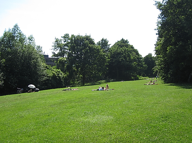 donnerspark_c-vera-mueller_04