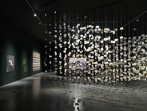 ART X LANDSCAPES OF CLIMATE CHANGE