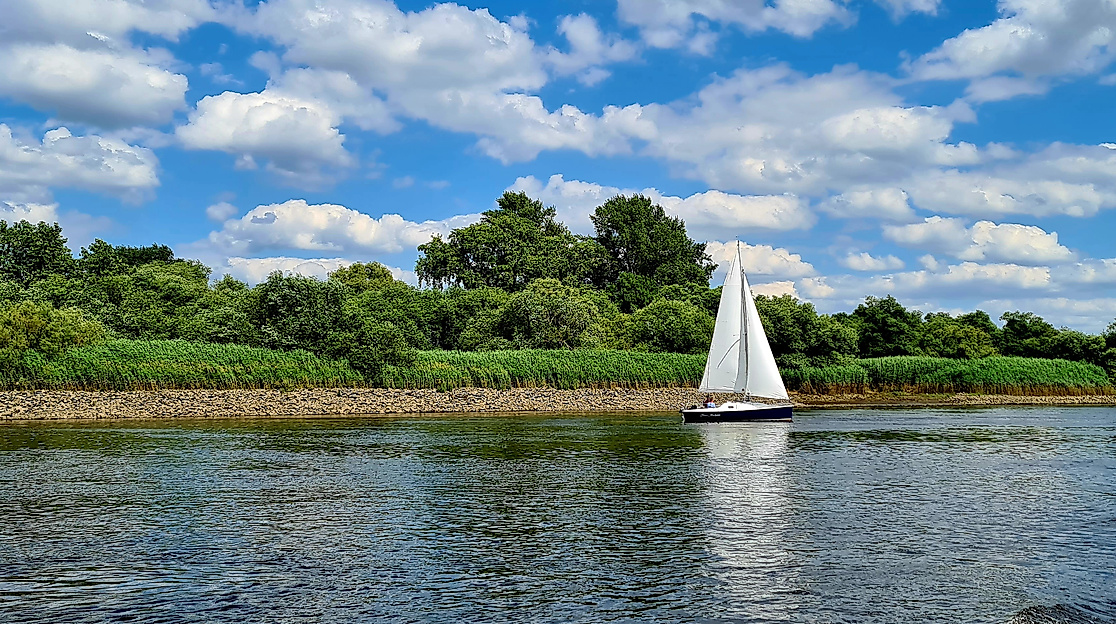 Naturschutzgebiet Heuckenlock im Süden der Elbinsel Wilhelmsburg