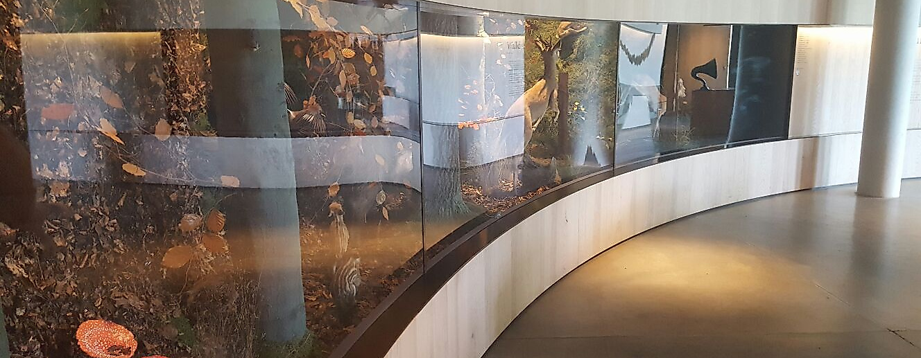 Science Center im Wälderhaus