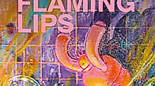 The Flaming Lips - Yoshimi Battles the Pink Robots - Live in Concert
