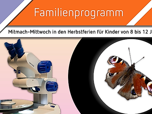 Mitmach-Mittwoch "Mikroskopier-Workshop" – Kleine Wunder ganz groß