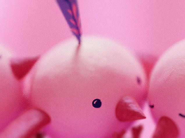 Mo&amp;Friese heben ab