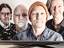 Jan Niesitka & 3 for more