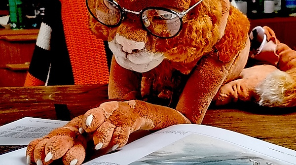 MATOU! Die Katze, die kein Mensch sein will - nach Michael Köhlmeier