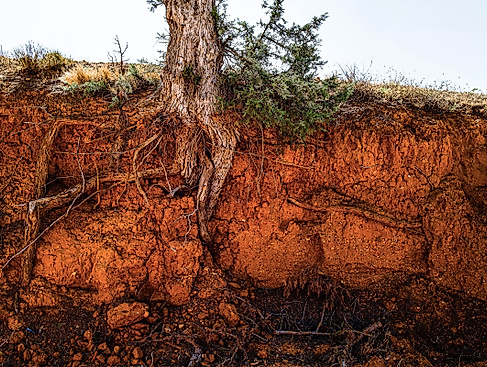 Rote Erde im Cañón Rojo