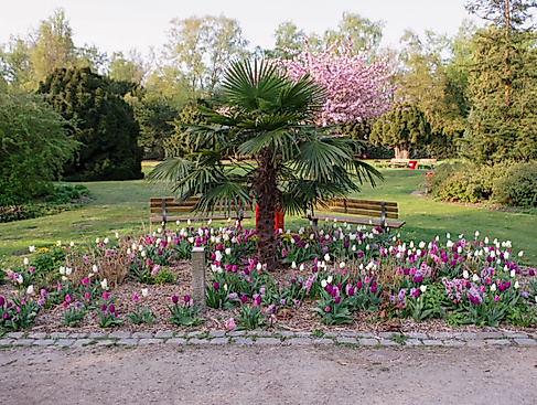 Botanischer Sondergarten im Frühling