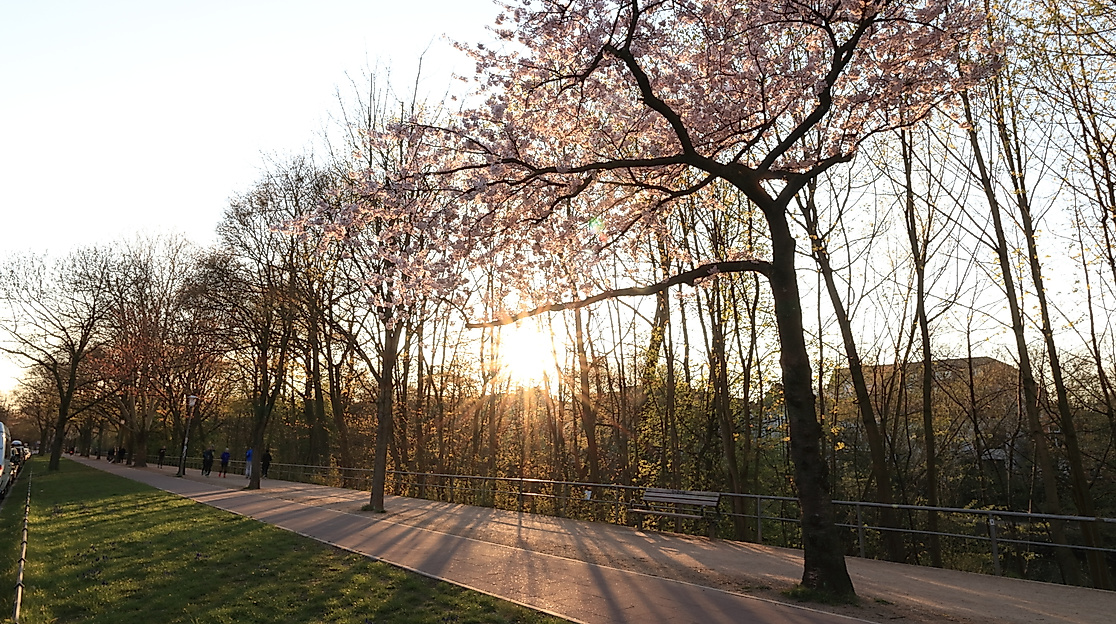 kaiser-friedrich-ufer_isebekpark_c-matthias-pens-fotografie_00001
