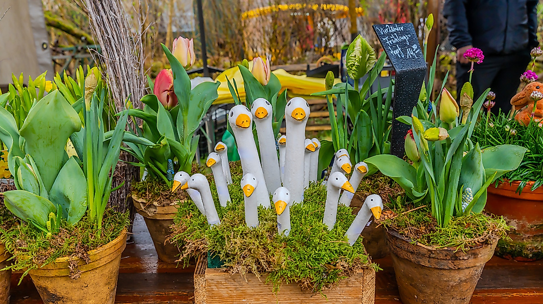 2025_03_30_a74_museumsdorf-volksdorf_bauernmarkt_fruehjahrsmarkt-04909